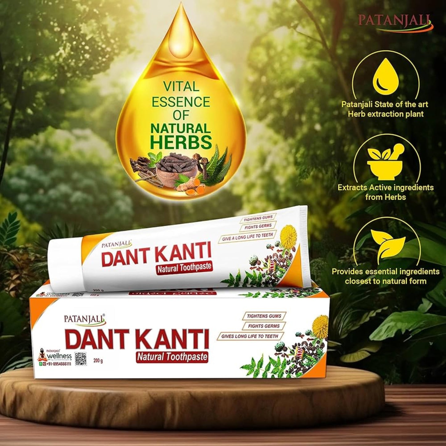 PATANJALI DANT KANTI 100GM
