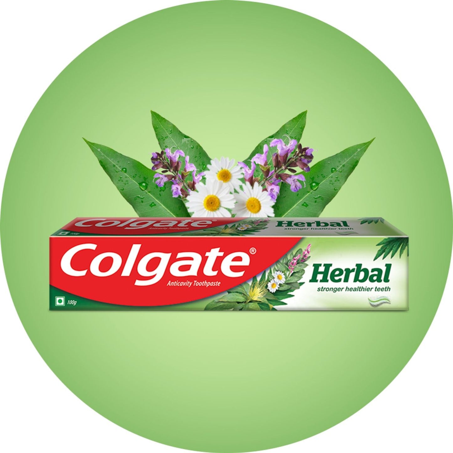 COLGATE HERBAL TOOTH PASTE 100 GM TUBE.