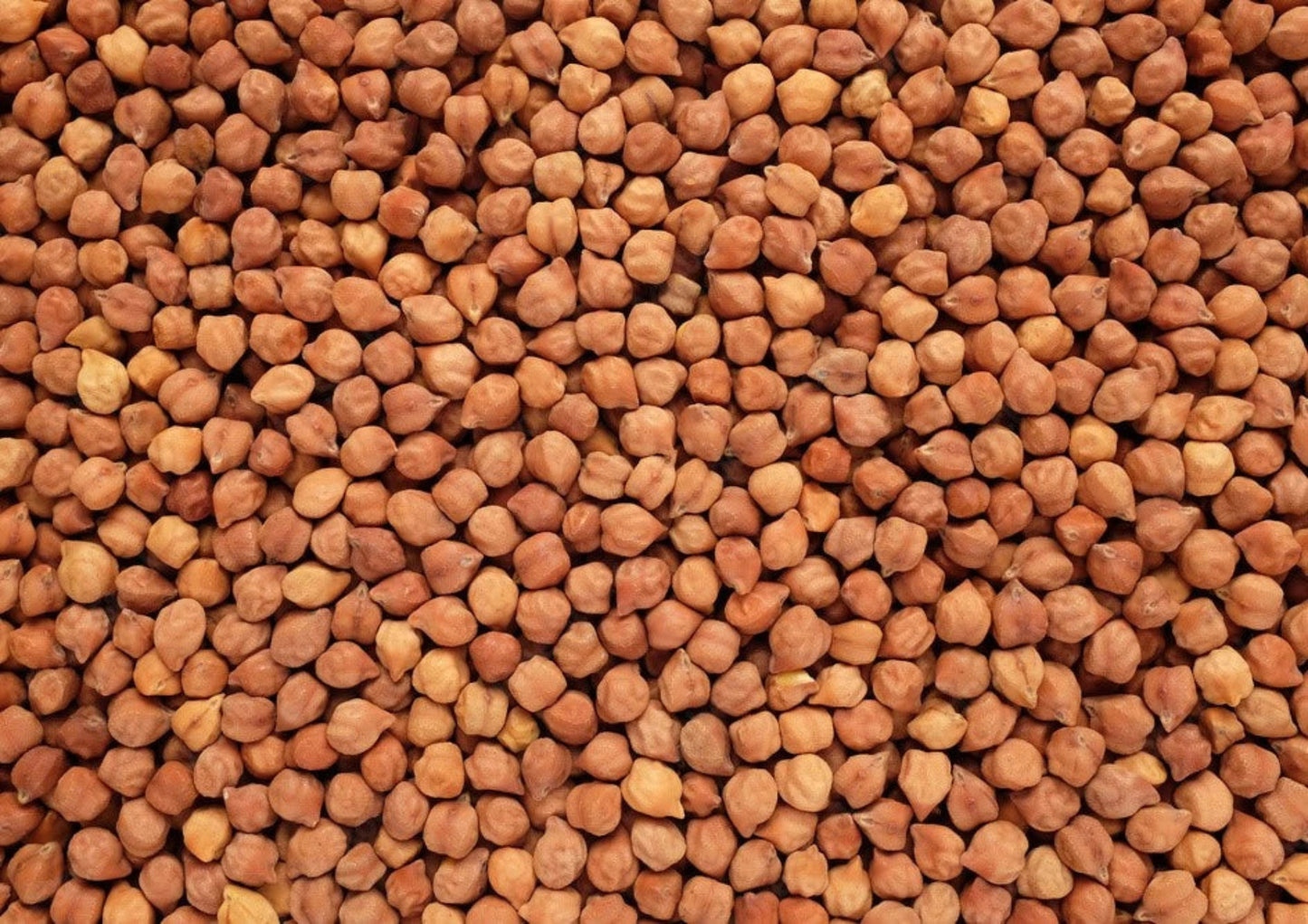 KALA CHANA 500 GM