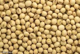 DAL SOYABEEN 500 GM