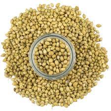 DHANIA SABUT 250 GM