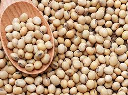 DAL SOYABEEN 500 GM