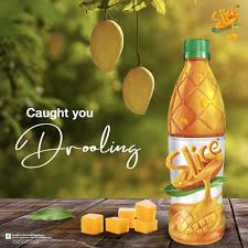 SLICE 600 ML PET BT.