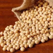 DAL SOYABEEN 500 GM