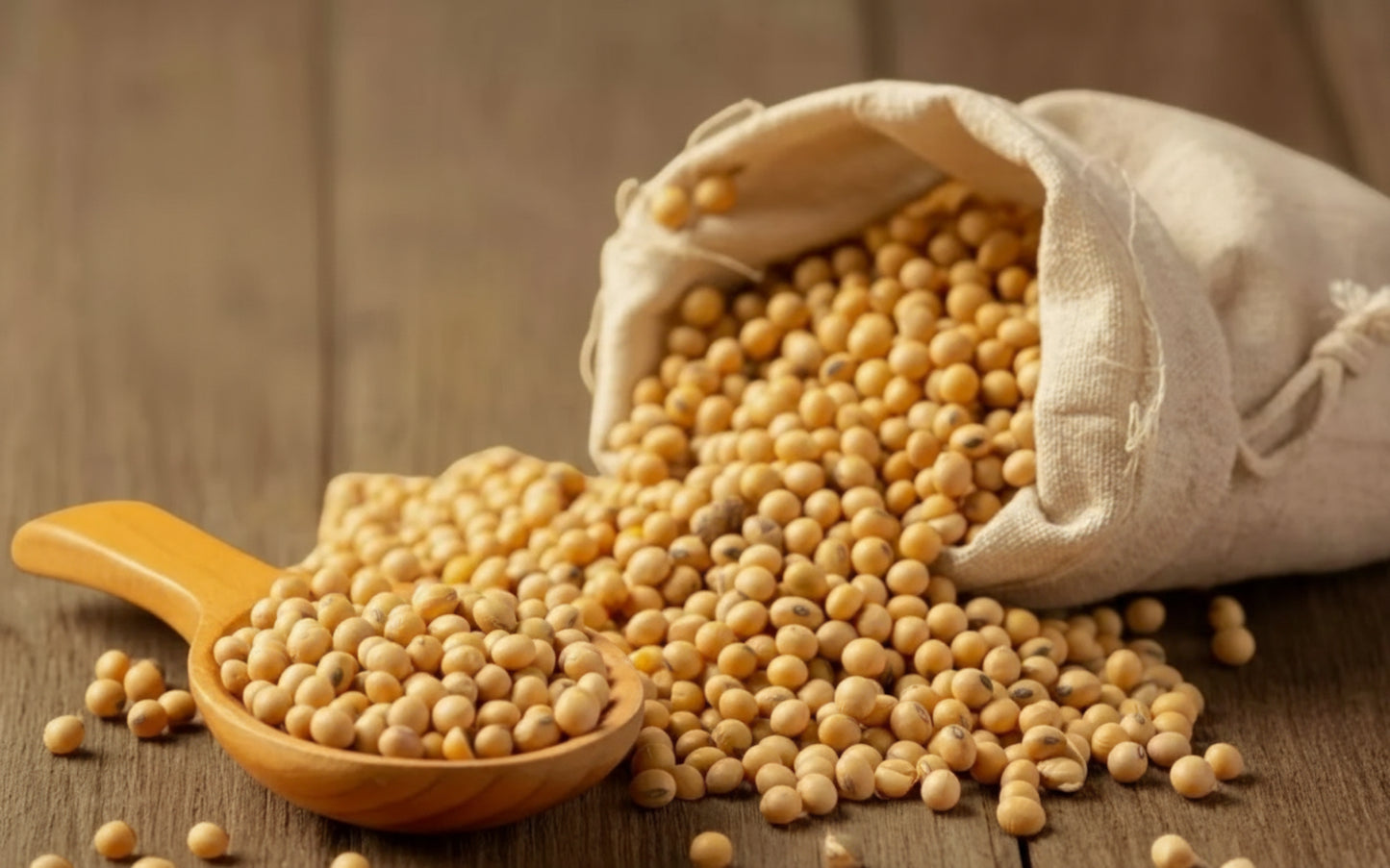 SOYABEEN DAL 500 GM