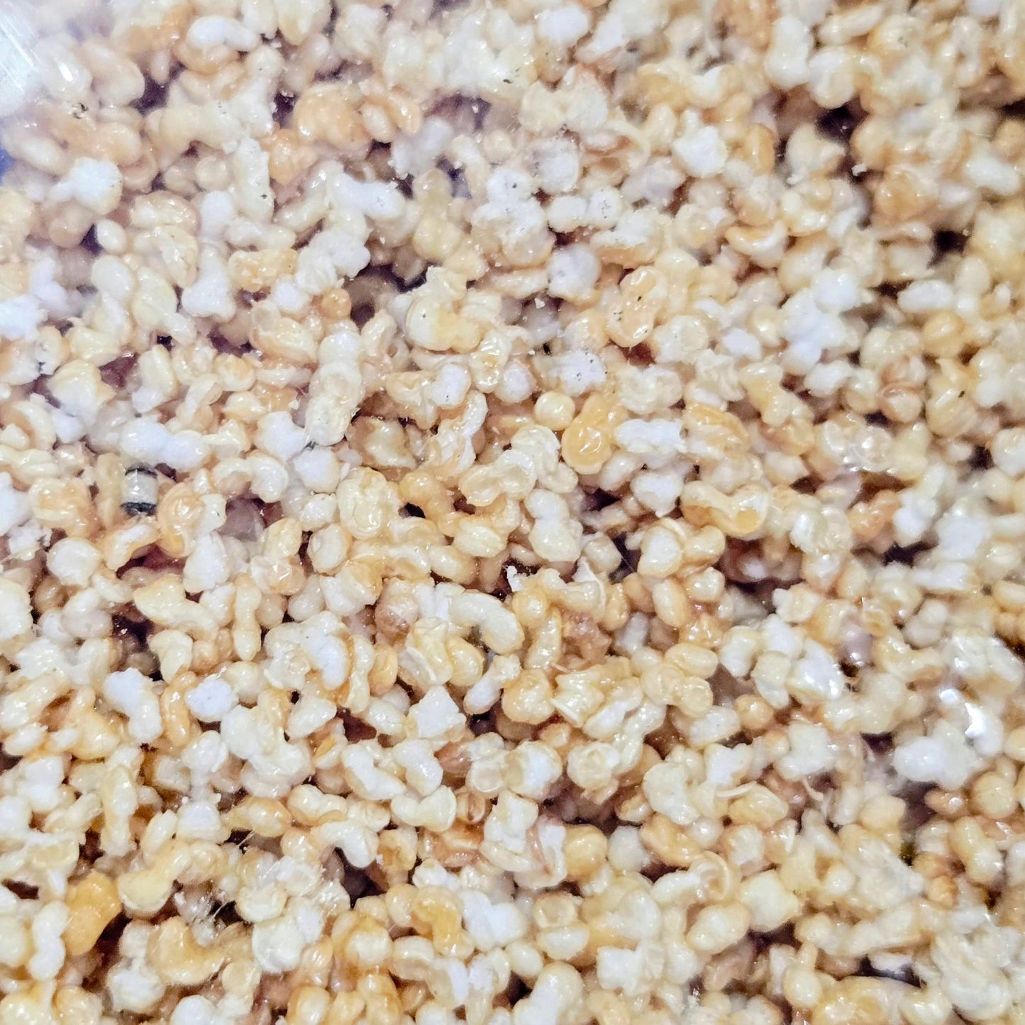 BATHU TIKKI 80GM