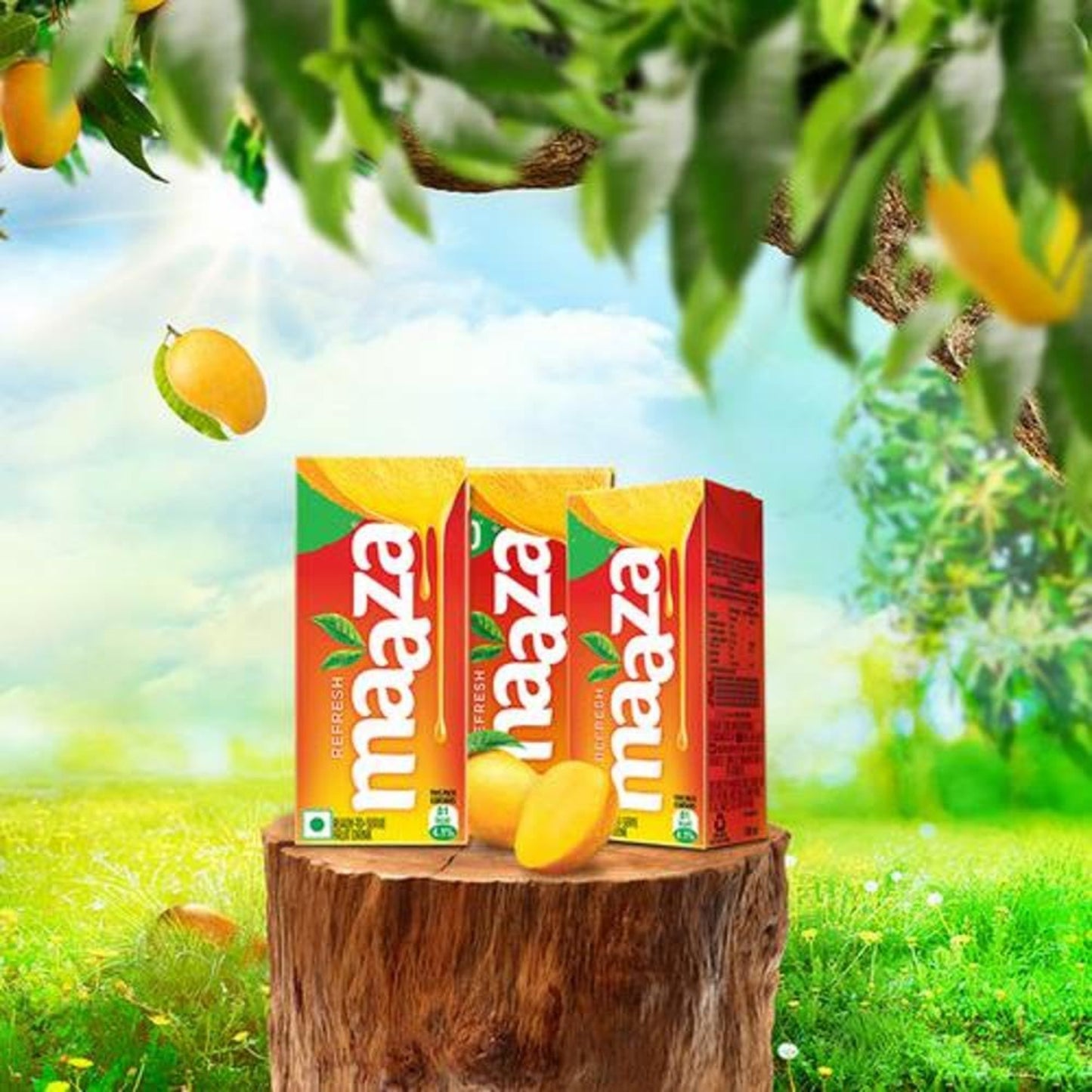 MAAZA MANGO JUICE 250 ML TETRA.