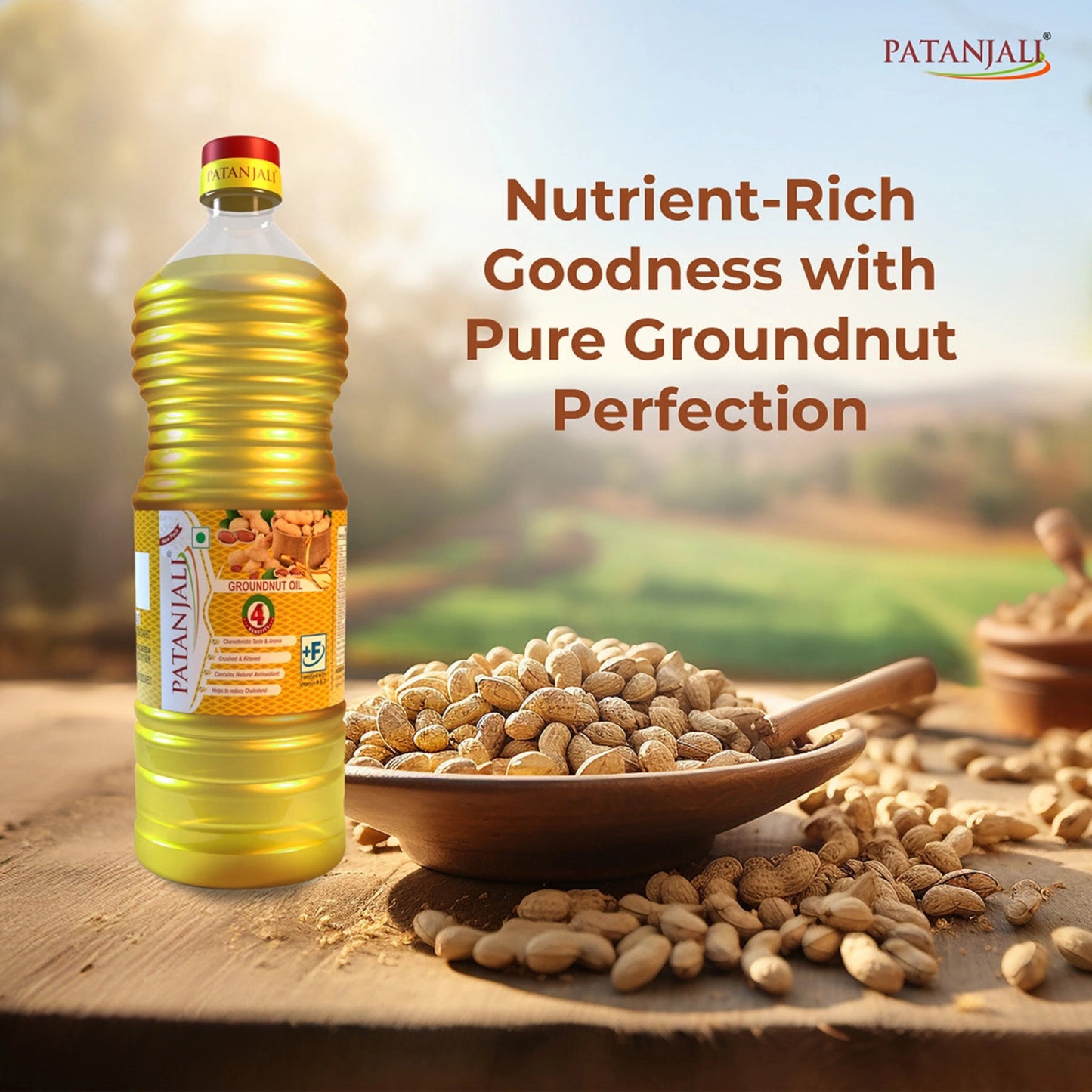 PATANJALI GNUT OIL 1L