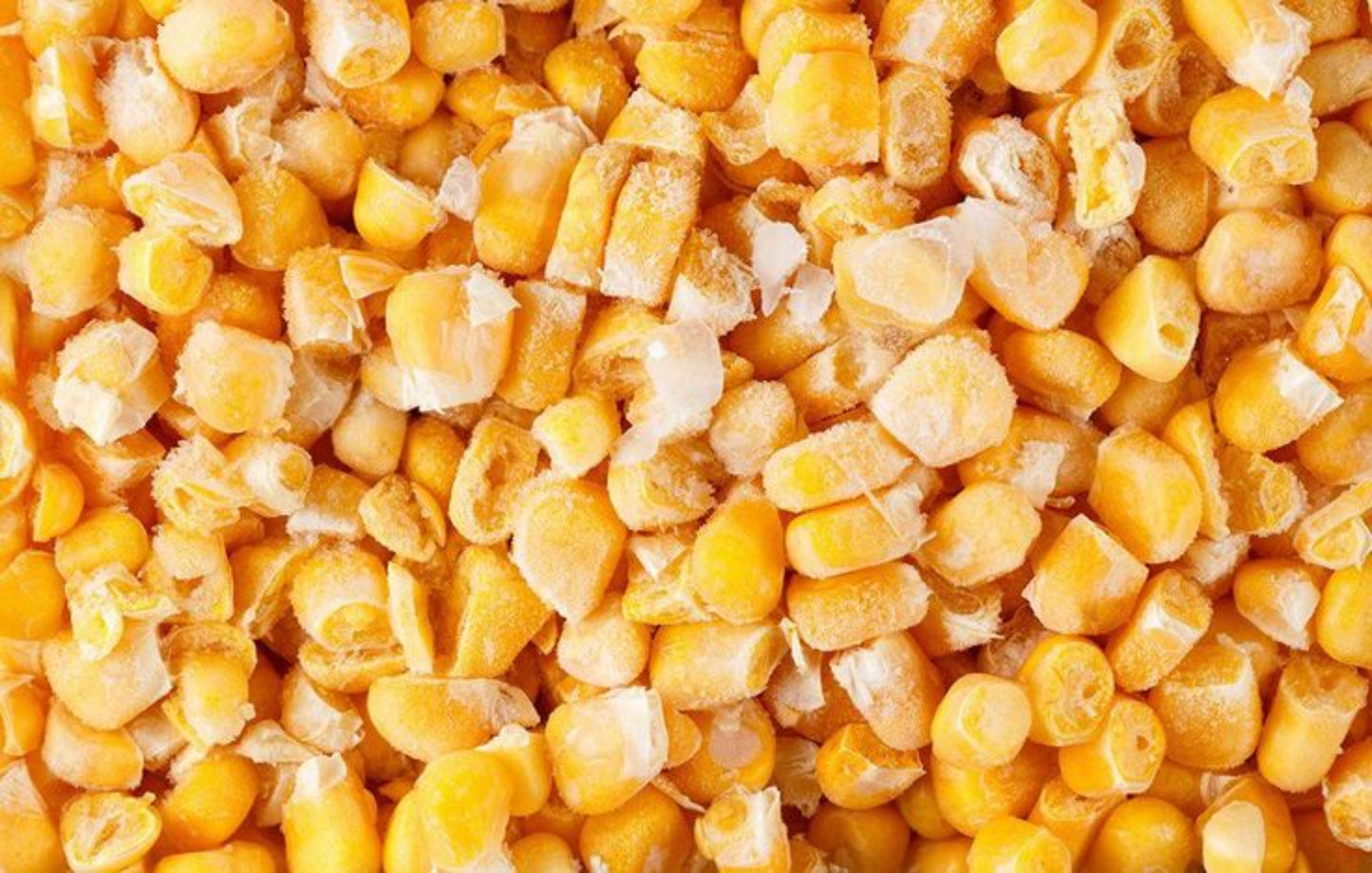 FROZEN SWEET CORN 500 GM POUCH.