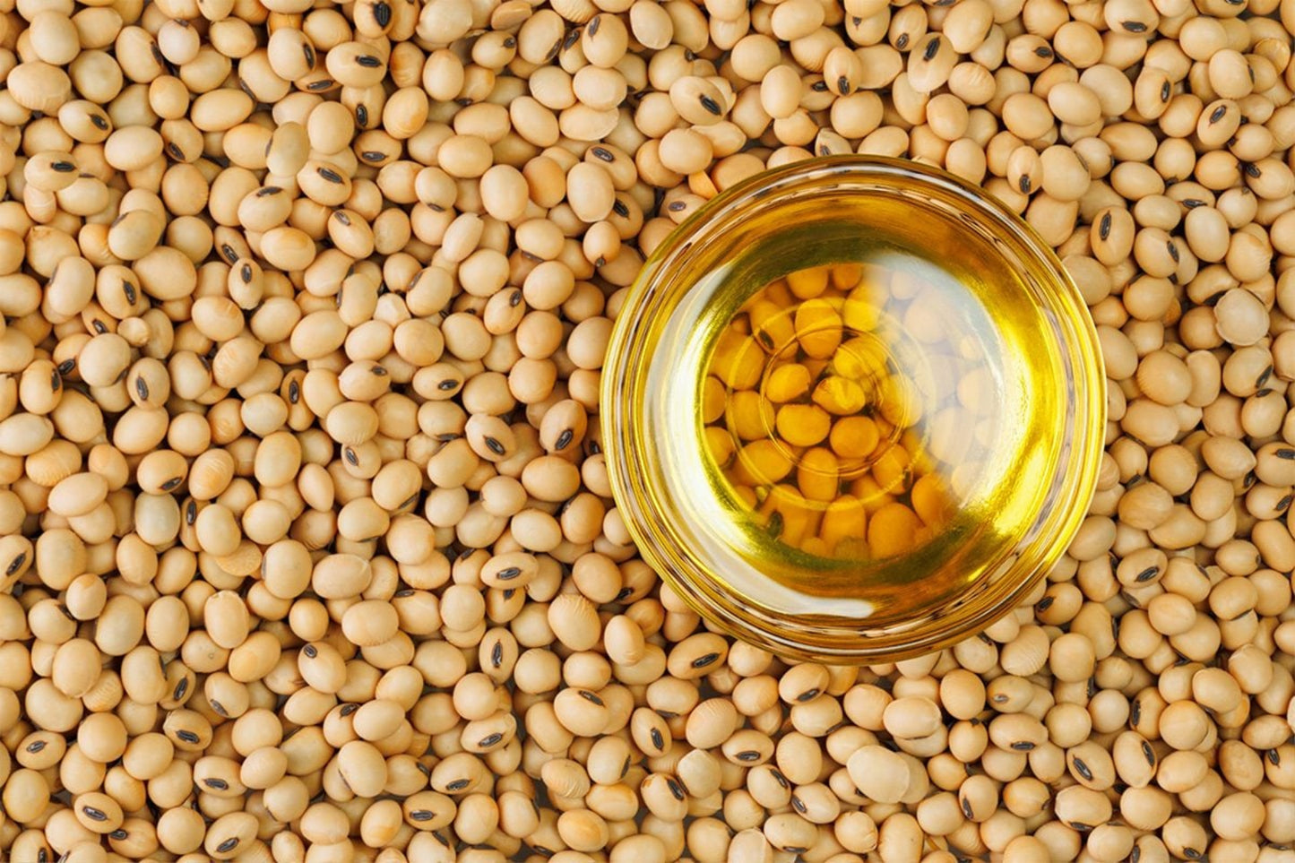 SOYABEEN DAL 500 GM