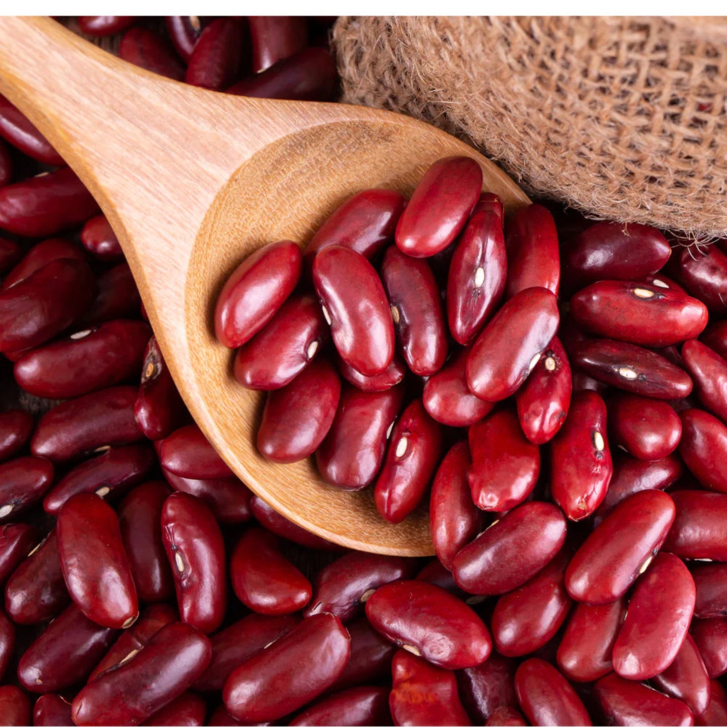 RAJMA RED 500 GM