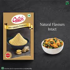 CATCH DRY GINGER POWDER 100 GM.CRTN