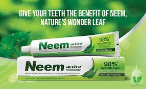 NEEM PASTE 100GM