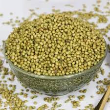DHANIA SABUT 100 GM