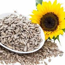 SUNFLOWER SEEDS 100GM