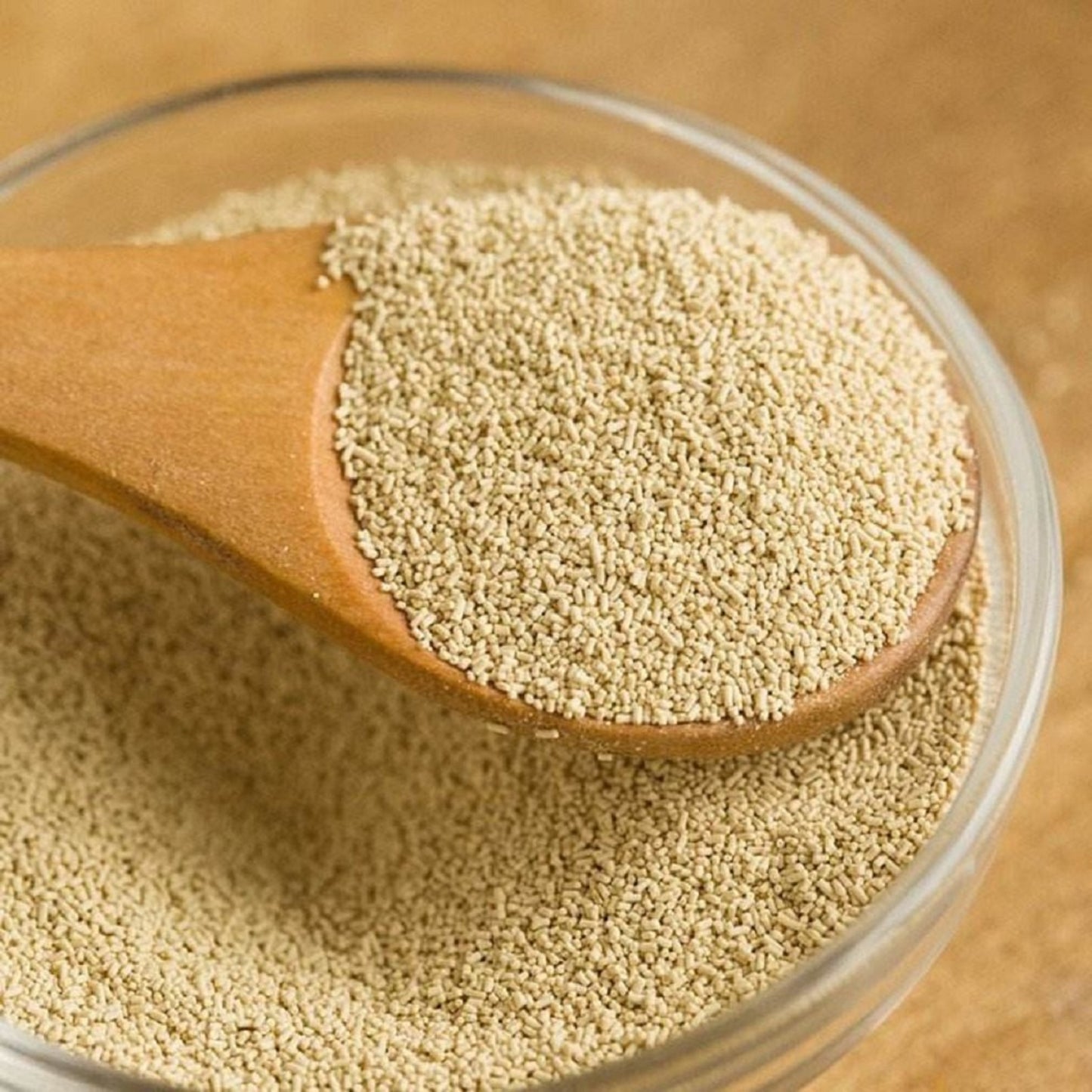 YEAST POWDER 50 GM.
