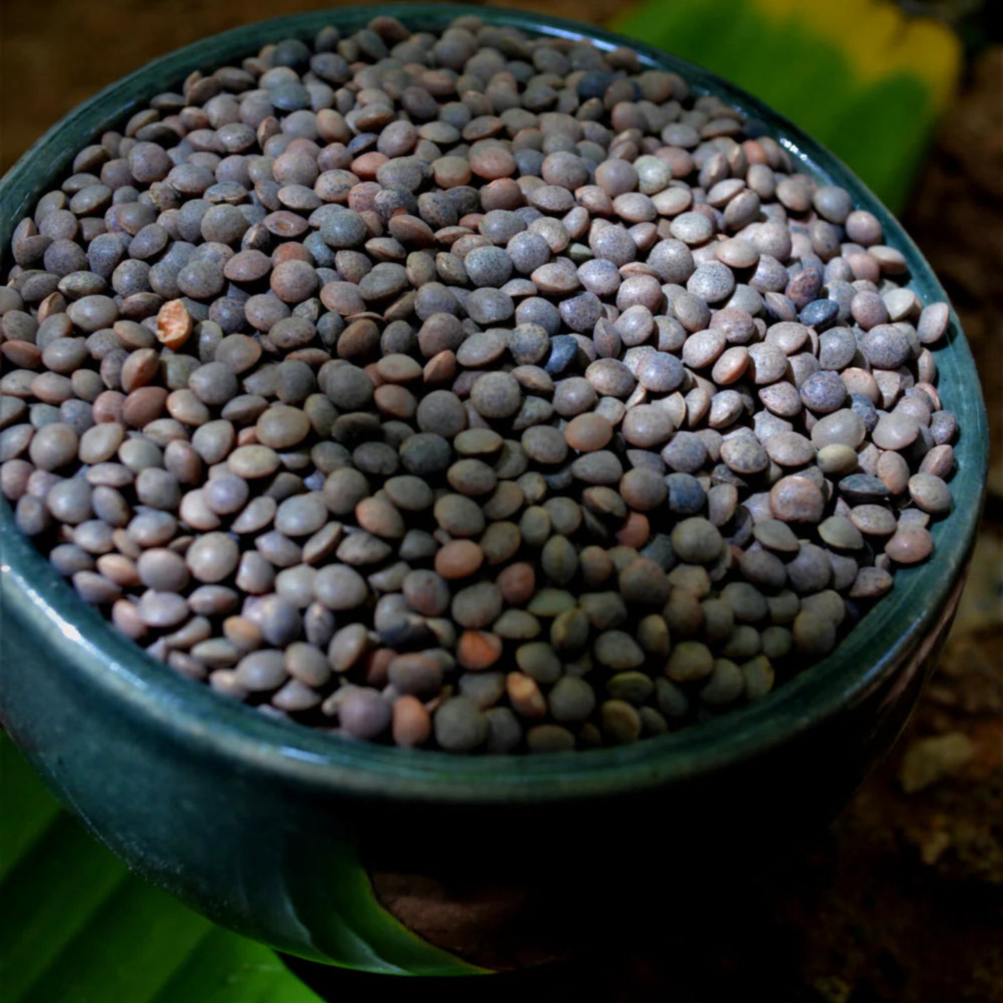 DAL MASAR SABUT BLACK 1KG