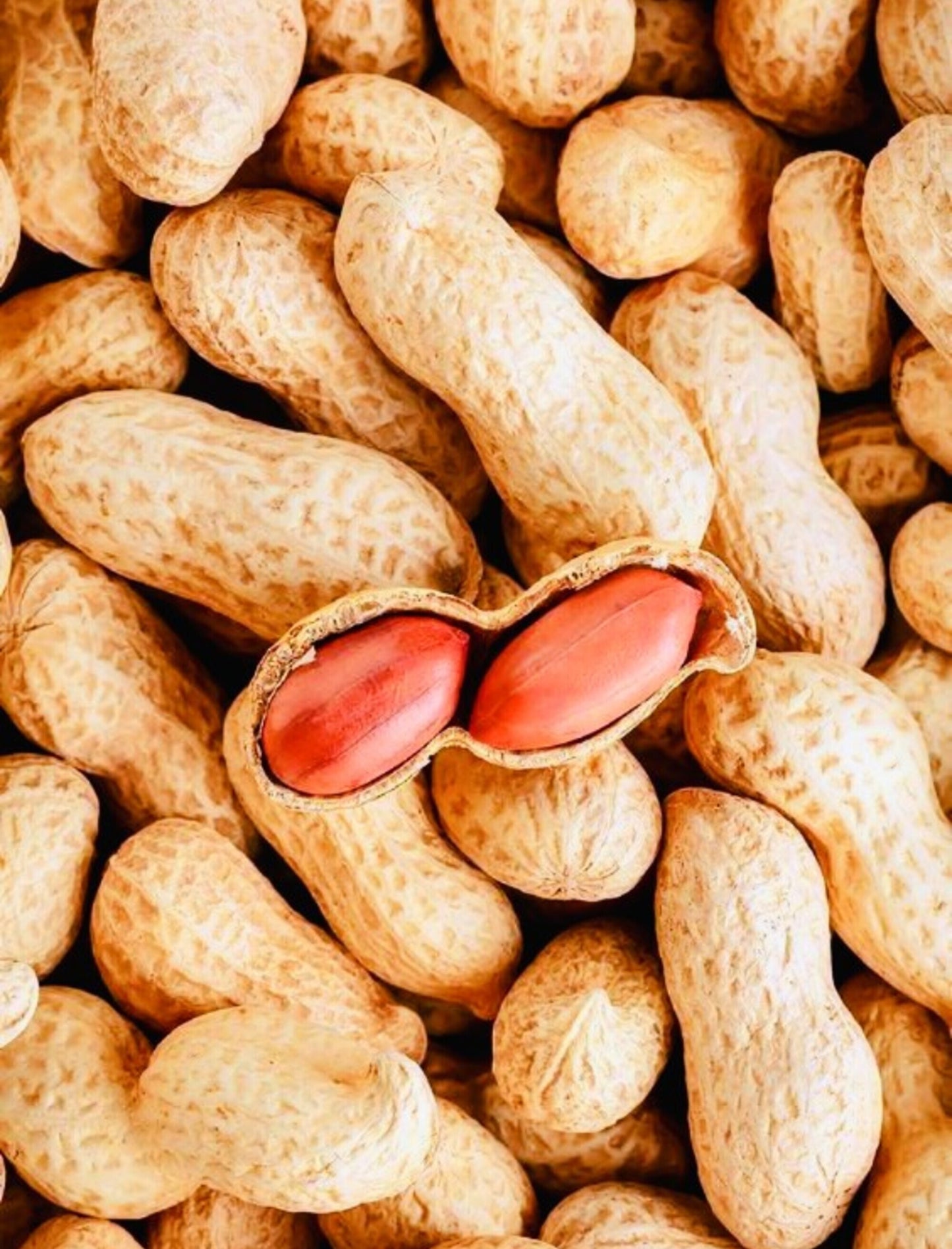 MOONGFALI 1KG POUCH (PEANUTS)